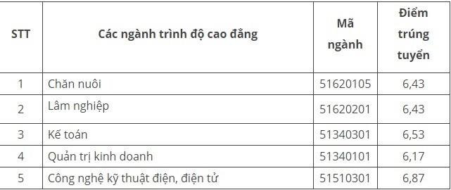 Đã có 4 trường đại học công bố điểm trúng tuyển - ảnh 2
