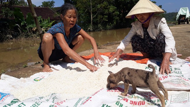 Lũ lụt ở Thanh Hóa: Nước ngập gần bàn thờ trong ngày giỗ - ảnh 2