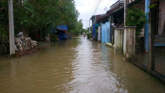 Đường phố Bình Định chìm trong biển nước, người dân dùng máy cày vượt lũ - ảnh 3