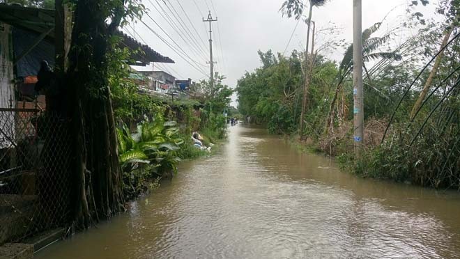 Đường phố Bình Định chìm trong biển nước, người dân dùng máy cày vượt lũ - ảnh 4