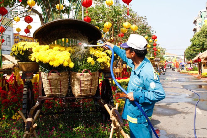Độc đáo những chú chó 'biểu diễn' đờn ca tài tử tại Cần Thơ - ảnh 6