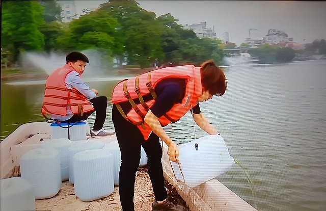 'Cấy' trả lại nước màu xanh đặc trưng cho hồ Hoàn Kiếm - ảnh 1