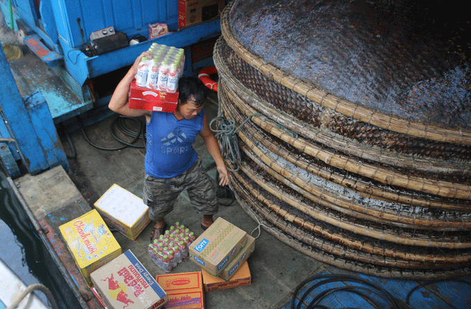 Ngư dân Quảng Nam câu mực thu hơn 5 tỷ đồng - ảnh 7