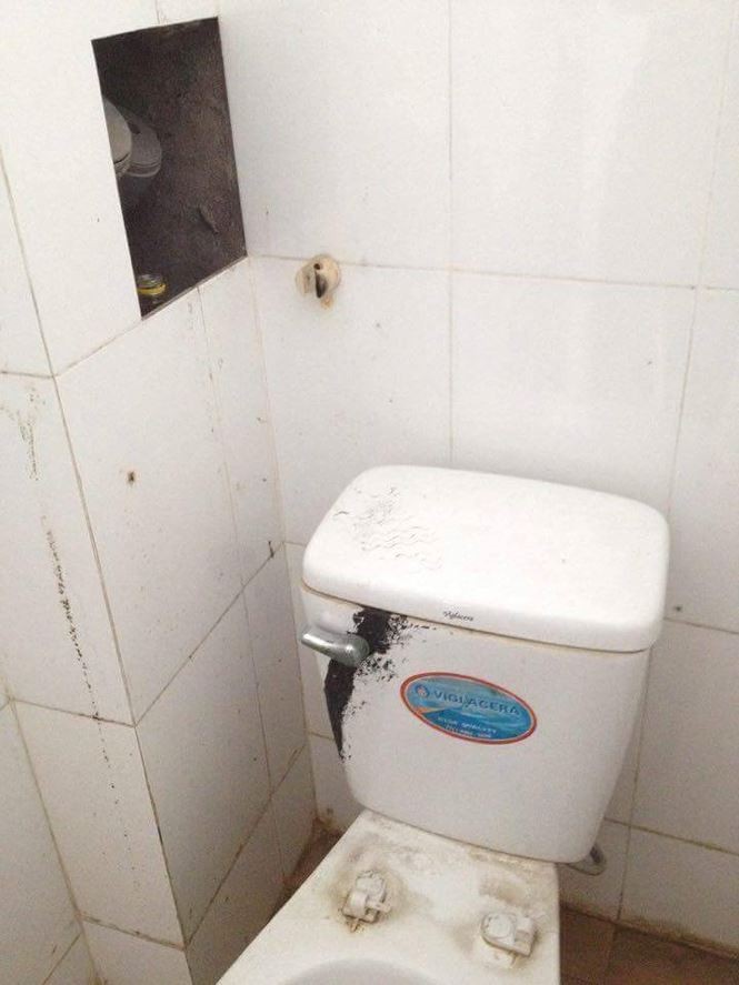 Nhà vệ sinh rong rêu tanh lòm: Học sinh 'nhịn', có nên xã hội hóa? - ảnh 1