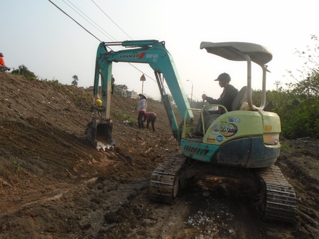 Vườn hoa khoe sắc trên nền phế thải - ảnh 1