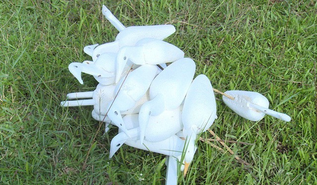 Sự thật tàn nhẫn sau cánh đồng cò giả bẫy cò thật của thợ săn - ảnh 5