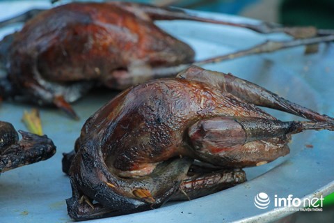 Chim trời nằm la liệt dọc đường, tràn lan ở chợ và trên... bàn nhậu - ảnh 13