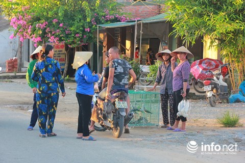Chim trời nằm la liệt dọc đường, tràn lan ở chợ và trên... bàn nhậu - ảnh 4