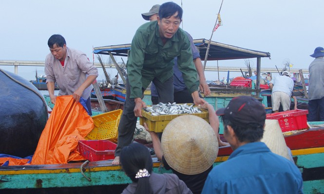 Nhộn nhịp cảng cá Cửa Nhượng - ảnh 8