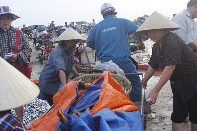 Nhộn nhịp cảng cá Cửa Nhượng - ảnh 6