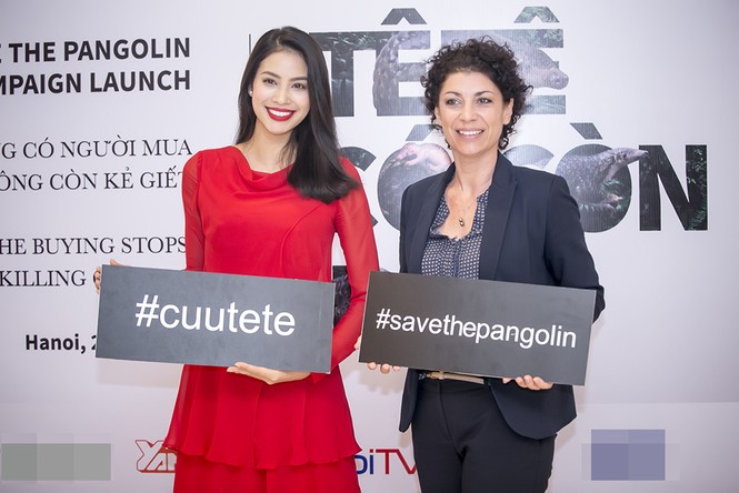 Thu Minh, Phạm Hương làm đại sứ bảo vệ động vật hoang dã - ảnh 7