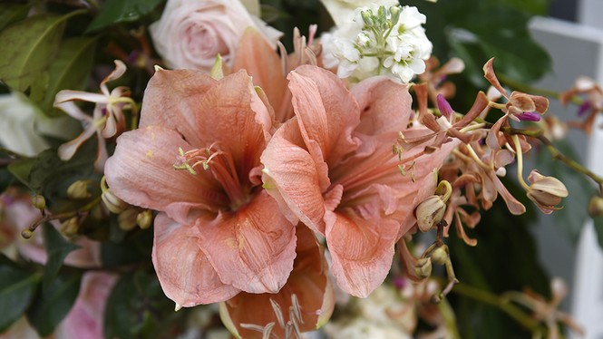 Những hình ảnh độc quyền về đám cưới Hoa hậu Thu Thảo - ảnh 15