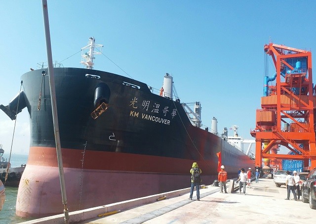 Tàu biển trọng tải 6,3 vạn tấn cập cảng Vissai - ảnh 3