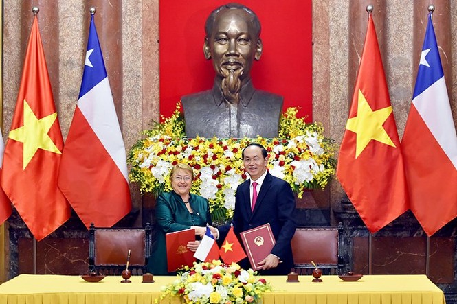 Chile giúp Việt Nam chăm sóc trẻ em nhiễm chất độc da cam - ảnh 1