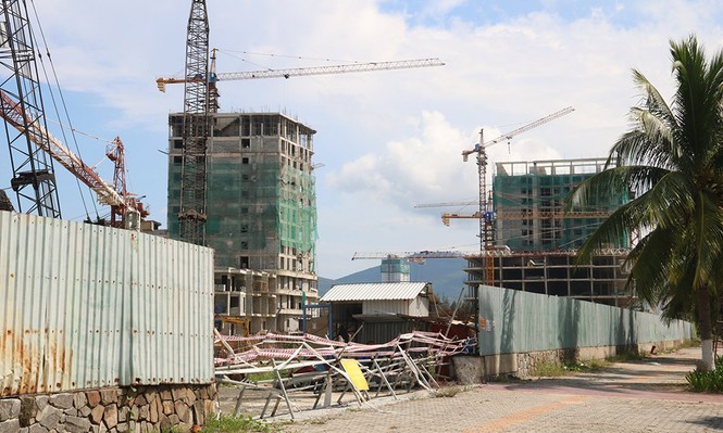 Công bố quyết định thanh tra toàn diện đất đai tại Sơn Trà - ảnh 1
