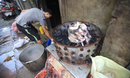 Nơi giết mổ hàng trăm con chó mỗi ngày ở Hà Nội - ảnh 1