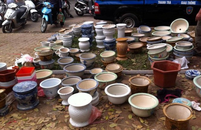 Muôn màu thị trường đào, quất cuối năm - ảnh 3