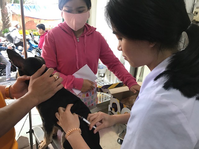 Những “bệnh nhân” đặc biệt ở phòng khám thú y ngày Tết - ảnh 3
