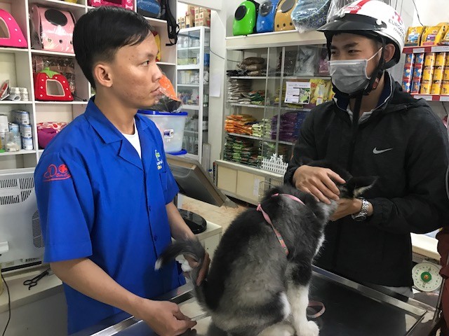 Những “bệnh nhân” đặc biệt ở phòng khám thú y ngày Tết - ảnh 4
