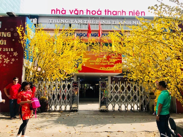 Dân Sài Gòn tràn xuống phố du xuân - ảnh 7