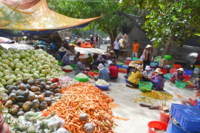 Hàng nghìn người đến chùa Ông Núi, ngắm tượng phật cao nhất Đông Nam Á - ảnh 9