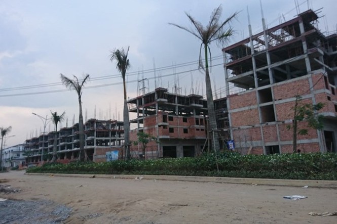 Long An: Xử phạt nhiều doanh nghiệp xây dựng dự án trái phép - ảnh 1