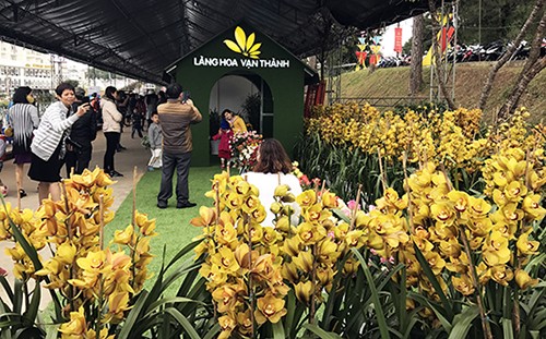 Hơn 60 ngàn người xem 'Triển lãm hoa, cây cảnh quốc tế' - ảnh 1