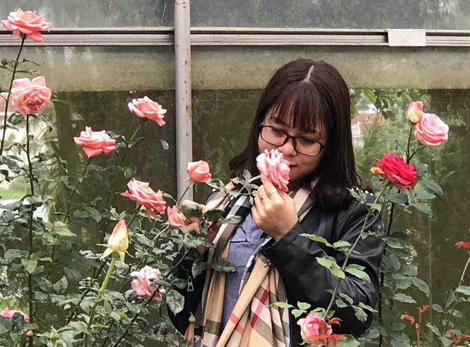 Đà Lạt có thêm 6 con đường mang tên các loài hoa - ảnh 5