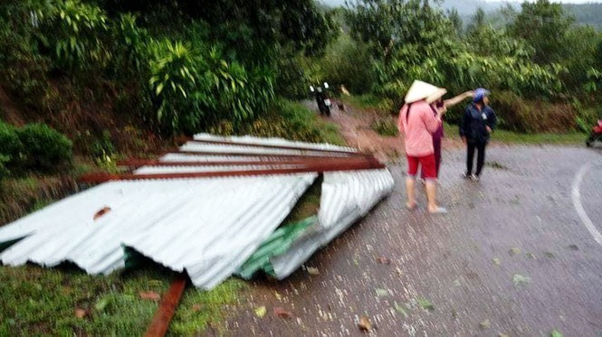 Lâm Đồng: Lốc xoáy tàn phá 'thủ phủ' sầu riêng - ảnh 2