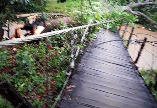 Lâm Đồng: Lốc xoáy tàn phá 'thủ phủ' sầu riêng - ảnh 3