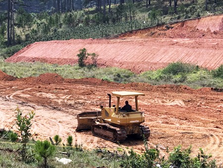 Lâm Đồng: Mặc lệnh cấm, nhiều phương tiện vẫn san bạt núi đồi - ảnh 1