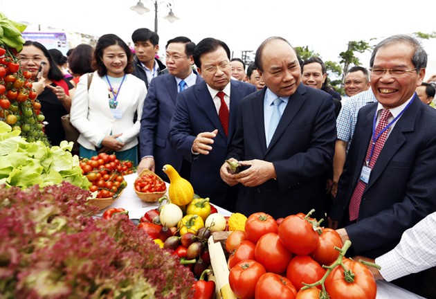 Khơi thông 'điểm nghẽn', mở đường cho DN đầu tư vào nông nghiệp - ảnh 2