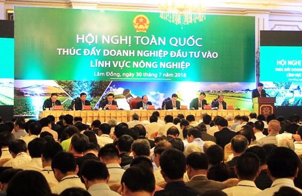 Khơi thông 'điểm nghẽn', mở đường cho DN đầu tư vào nông nghiệp - ảnh 1