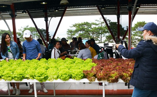Chiêu đãi buffet chay cho hàng ngàn du khách tại Đà Lạt - ảnh 4