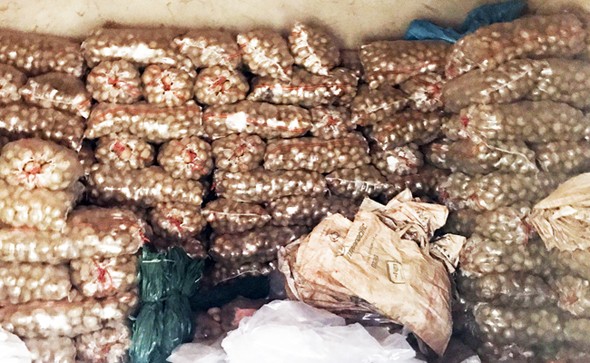 Đà Lạt ngăn chặn tình trạng rau, củ 'đội lốt' - ảnh 2