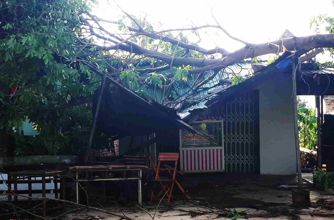Cây gãy đổ làm sập nhà dân ở huyện Ea Súp