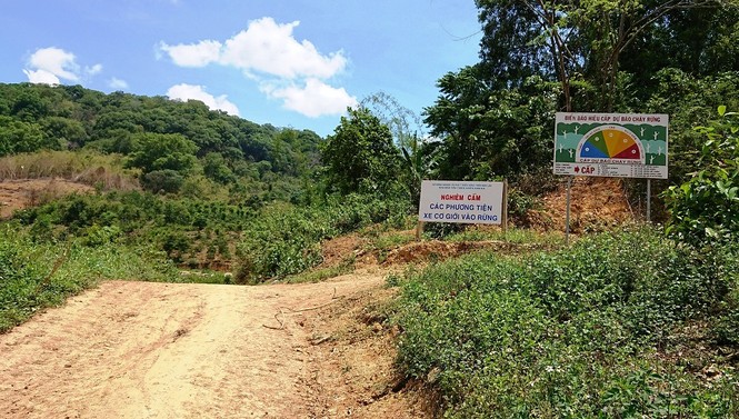 Để vào được khu vực rừng đặc dụng tại xã Bình Hoà phải qua Trạm kiểm lâm số 8