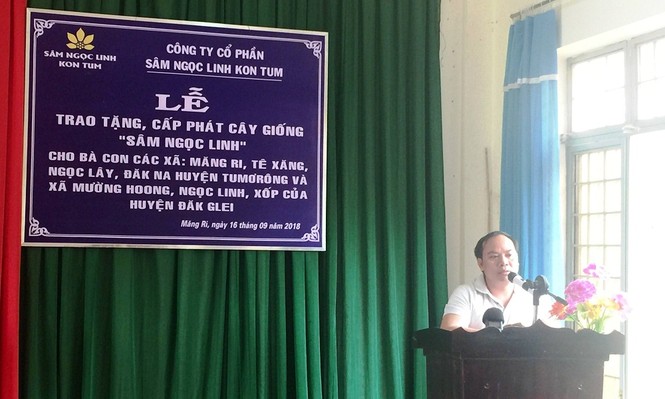 Trao tặng 46.500 cây sâm Ngọc Linh giống tại vùng cao Kon Tum - ảnh 2
