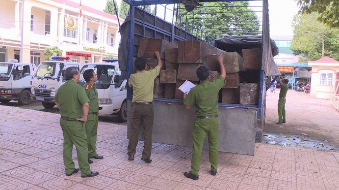 Bắt tài xế chở 31 hộp gỗ không hóa đơn với giá 3 triệu - ảnh 1