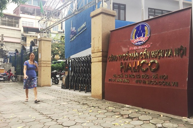 Cận cảnh dự án