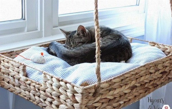 Có cả ngàn cách trang trí cho ô cửa sổ lãng mạn, mộng mơ đến không ngờ - ảnh 4