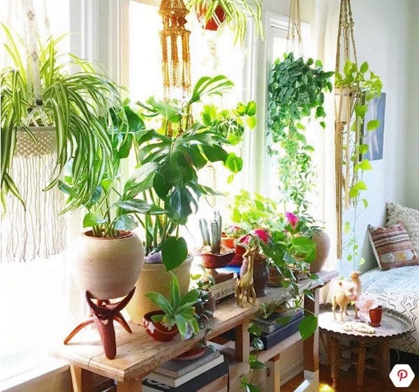 Có cả ngàn cách trang trí cho ô cửa sổ lãng mạn, mộng mơ đến không ngờ - ảnh 6