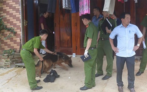 Nam bác sĩ thú nhận giết vợ, phi tang xuống sông - ảnh 1