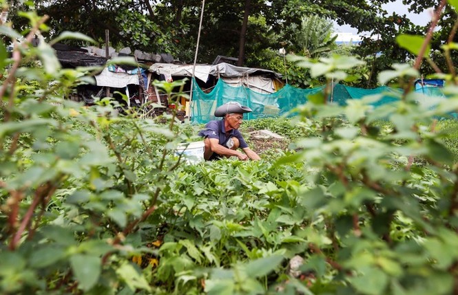 Hiện trạng 4,3 ha đất bị thu hồi sai ở Khu đô thị Thủ Thiêm - ảnh 3