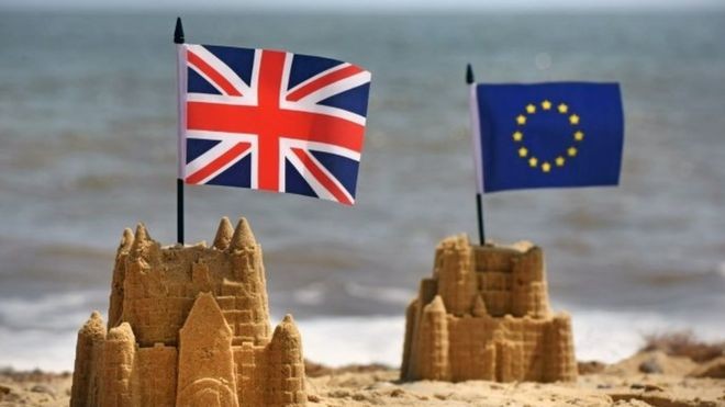 Brexit và hộ chiếu thú cưng - ảnh 1