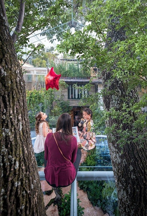 Nhà lơ lửng trên cây trong suốt độc nhất thế giới - ảnh 2