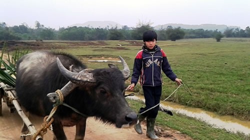 Tết còn xa với thầy, trò vùng lũ - ảnh 2
