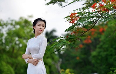 Nữ sinh Kinh tế mộng mơ bên phượng hồng rực đỏ - ảnh 1