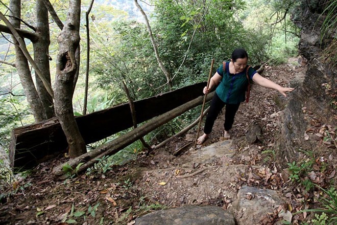Cô giáo dốc sức leo, bám vách đá đi dạy - ảnh 1
