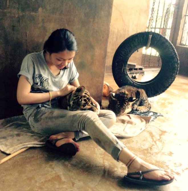 Cô gái Việt Nam sang Thái Lan... nuôi hổ - ảnh 4